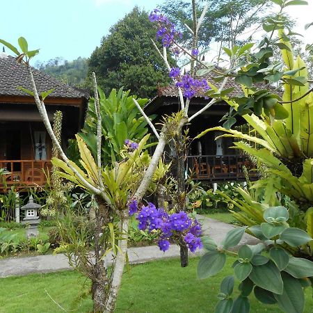 Kubu Alas Tunggal Villa サイドメン エクステリア 写真