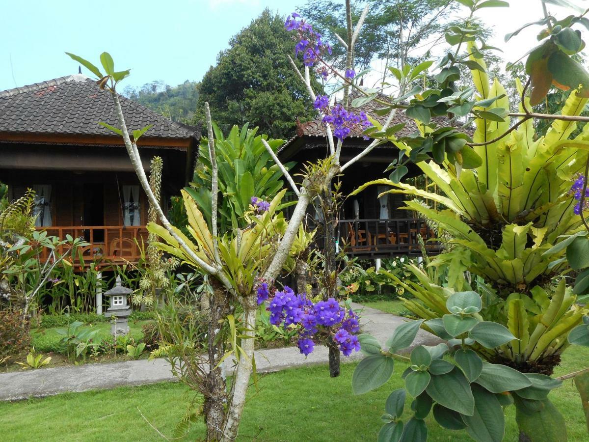 Kubu Alas Tunggal Villa サイドメン エクステリア 写真